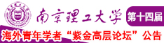 日本女人操逼的视频南京理工大学第十四届海外青年学者紫金论坛诚邀海内外英才！